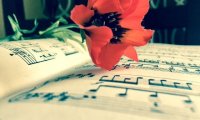 Parchment and Records