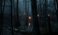 Bells in the Night