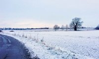 Rural Wintertime