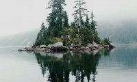 island with a spirit bear