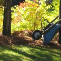 sounds of fall